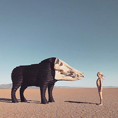 Dream Hunting In The Valley Of The In-Between [Musikkassette] von SUB POP