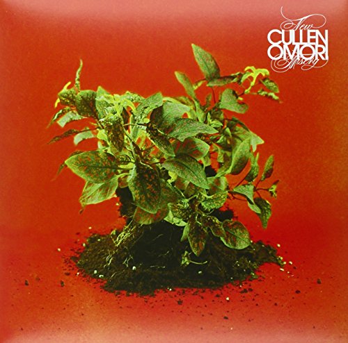 New Misery (Clear / Loser Edition) von Sub Pop