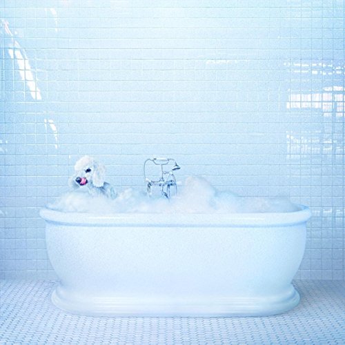 Vessel (Translucent Blue/Loser Edition) von SUB POP