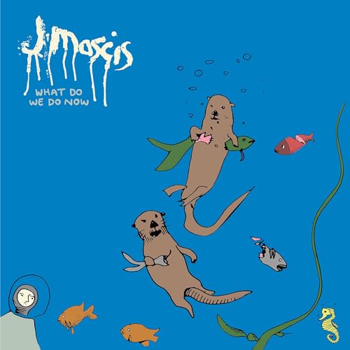 What Do We Do Now [Vinyl LP] von Sub Pop Records