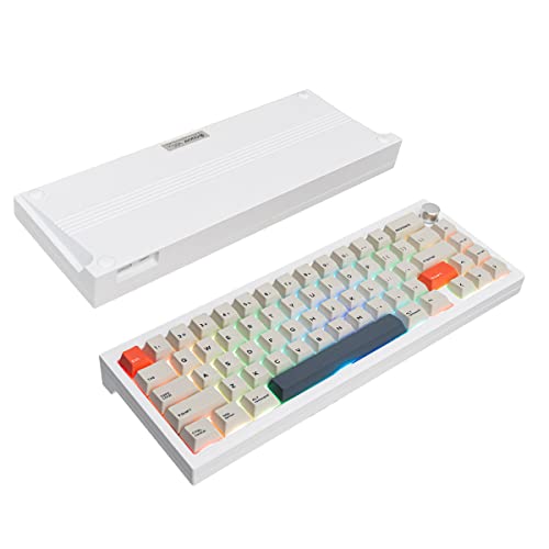 SUEHIODHY V65 V2 Kabellose Hot-Swap-fähige mechanische Tastatur, 65% dichtungsmontiertes Aluminium-CNC-Gehäuse mit programmierbarem VIA-Lautstärkeregler Gaming-Tastatur für Win/Mac (Weiß) von SUEHIODHY