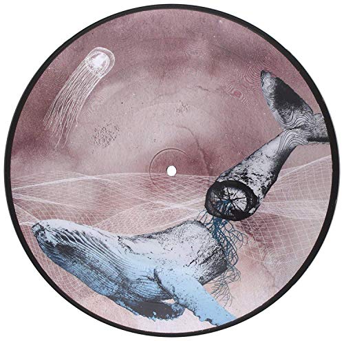 Basal Ganglia [Vinyl LP] von SUMERIAN RECORDS