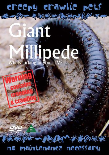 Creepy Crawlie Pets - Giant Millipede [DVD] von SUMMERSDALE PRODUCTIONS