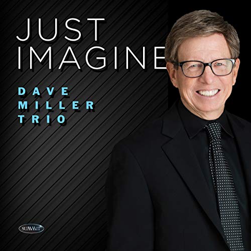 Dave Miller Trio - Just Imagine von MVD