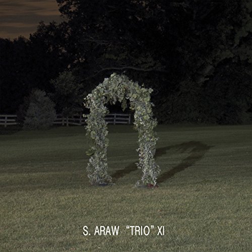 Gazebo Effect [Vinyl LP] von SUN ARK-DRAG CITY