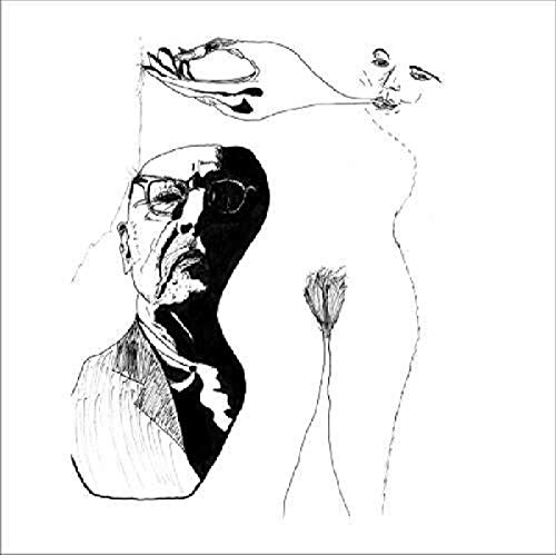 Owl and the Pussycat [Vinyl LP] von SUN ARK-DRAG CITY