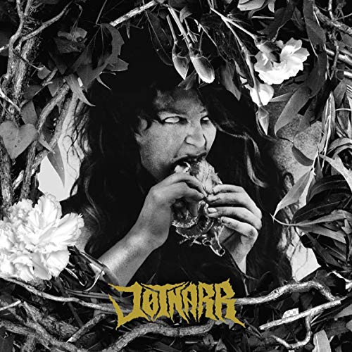 Jotnarr [Vinyl LP] von SUPERFI