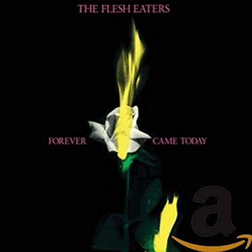 Flesh Eaters - Forever Came Today von SUPERIOR VIADUCT