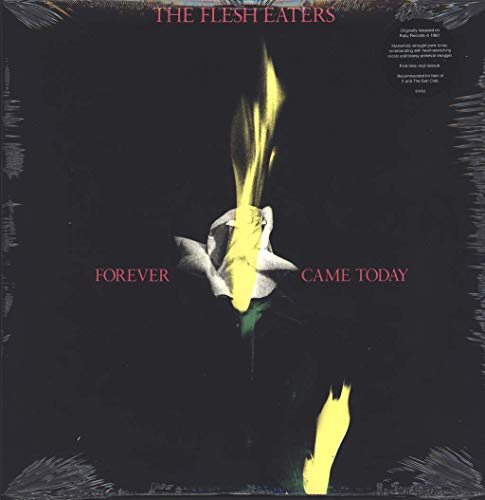 Forever Came Today [Vinyl LP] von SUPERIOR VIADUCT