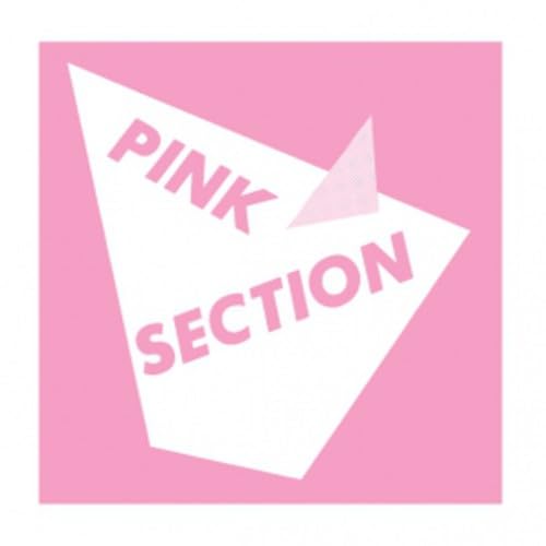 Pink Section [Vinyl LP] von SUPERIOR VIADUCT