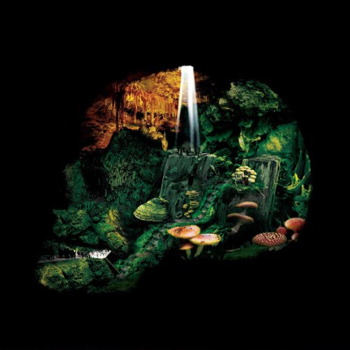 Iron Marsh [Vinyl LP] von SVART RECORDS