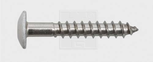 SWG 211555620 Fassadenschraube 5.5mm 55mm T-Profil Edelstahl A4 100St. SWG 211555620 Fassadenschraube 5.5mm 55mm T-Profil Edelstahl A4 100St. von SWG
