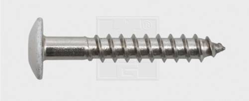 SWG 211555620 Fassadenschraube 5.5mm 55mm T-Profil Edelstahl A4 100St. von SWG