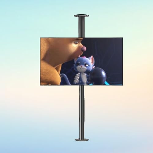 TV -Bodenständer - LCD TV -Rahmen -Bodenständer - 360 Grad TV -Bodenständer, TV -Deckenmontageverstellbar, passt 32-75 -Zoll -LED -Bildschirmanzeige, bis zu 110 lbs, Trennwand rotierende Rack TV -Bodenständer - LCD TV -Rahmen -Bodenständer - 360 Grad TV -Bodenständer, TV -Deckenmontageverstellbar, passt 32-75 -Zoll -LED -Bildschirmanzeige, bis zu 110 lbs, Trennwand rotierende Rack von SXSWCH