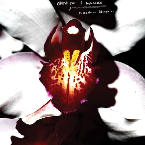 Cellophane Memories Cellophane Memories von Sacred Bones