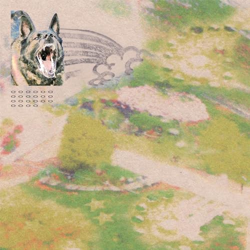 Girl With Fish (Sprinkle Splatter Vinyl Lp) [Vinyl LP] von Saddle Creek (Rough Trade)