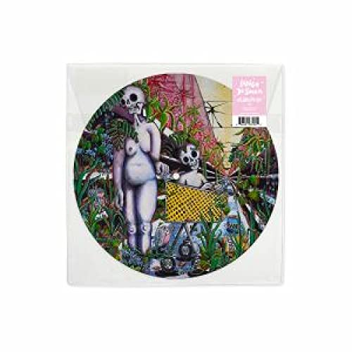 Any Shape You Take (Picture Disc) [Vinyl LP] von Saddle Creek