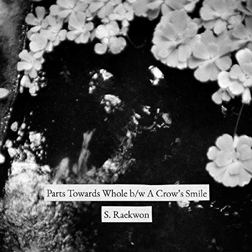 Parts Towards Whole / A Crowds Smile [Vinyl LP] von Saddle Creek