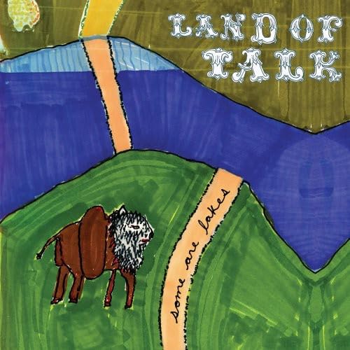 Some Are Lakes [Vinyl LP] von Saddle Creek