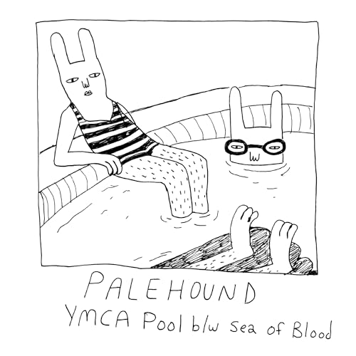 Ymca Pool [Vinyl LP] von Saddle Creek