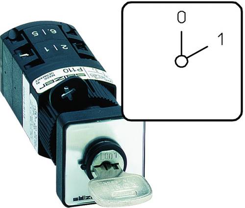 Sälzer P110-61001-S001B Nockenschalter 10A 1 x 60° Grau, Schwarz 1St. von Sälzer