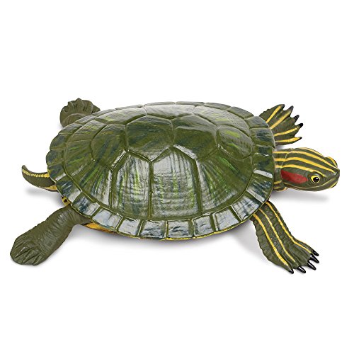 SAFARI Schildkröte mit roten Ohren, 13 cm SAFARI Schildkröte mit roten Ohren, 13 cm von Safari