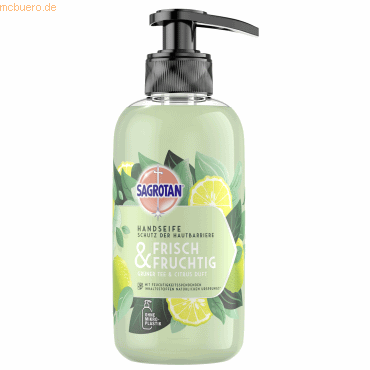 Sagrotan Flüssigseife Frisch/Fruchtig 3277369 300ml von Sagrotan