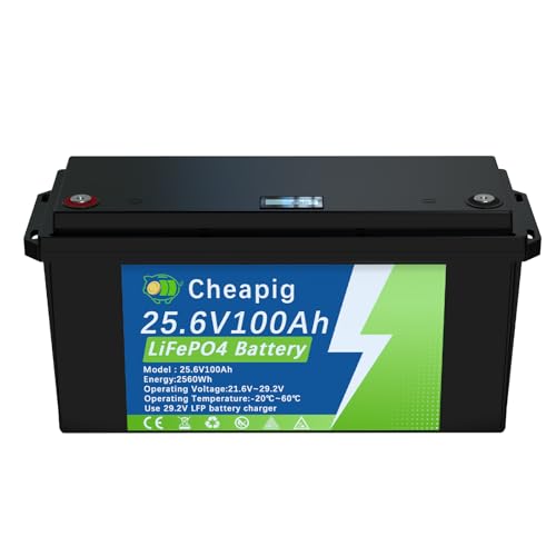 SaiJiaoYang LiFePO4 24V 100Ah Batterie, Eingebautes 100A Smart BMS 2560Wh Ausgang Perfekt für Wohnmobile, Solaranlage, Camping, Wohnwagen, Boot, Reiseanhänger SaiJiaoYang LiFePO4 24V 100Ah Batterie, Eingebautes 100A Smart BMS 2560Wh Ausgang Perfekt für Wohnmobile, Solaranlage, Camping, Wohnwagen, Boot, Reiseanhänger von SaiJiaoYang