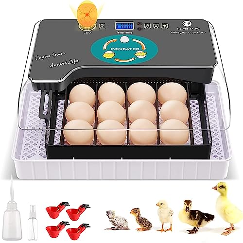 Brutmaschine Vollautomatisch Hühner Eier Brutgerät, 9-35 Eier Brutapparat Eier Inkubator mit Effizienter LED Beleuchtung Hatcher Maschine für Hühnergans Ente Taube Wachtel Vogel Brutmaschine Vollautomatisch Hühner Eier Brutgerät, 9-35 Eier Brutapparat Eier Inkubator mit Effizienter LED Beleuchtung Hatcher Maschine für Hühnergans Ente Taube Wachtel Vogel von Sailnovo