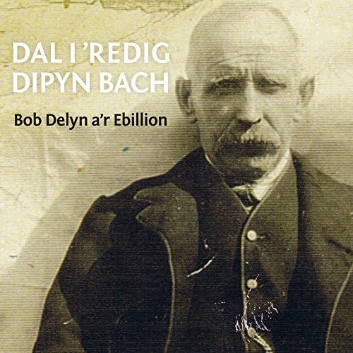 Bob Delyn A'r Ebillion - Dal I 'Redig Dipyn Bach von Sain