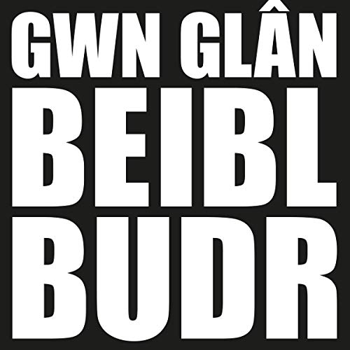 Gwn Glan Beibl Budr von Sain