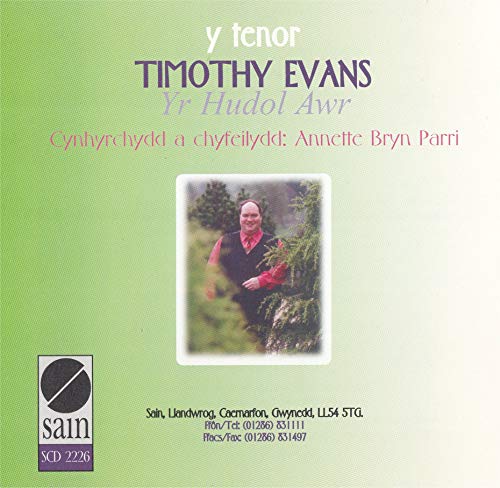 Timothy Evans - Yr Hudol Awr von Sain