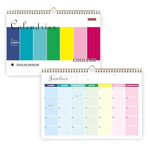 Kalender 2025 Wandkalender (Coleur) von Saiwiimody