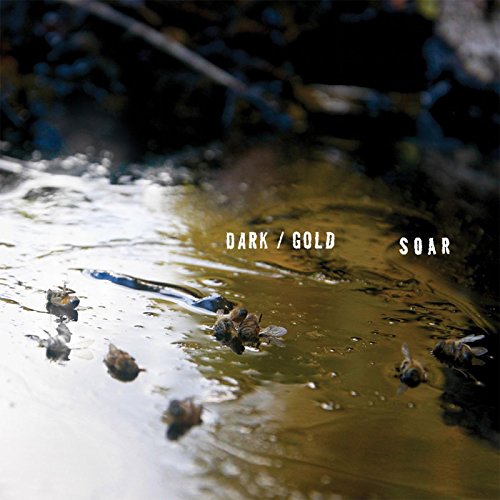 Dark/Gold [Vinyl LP] von Salinas Records