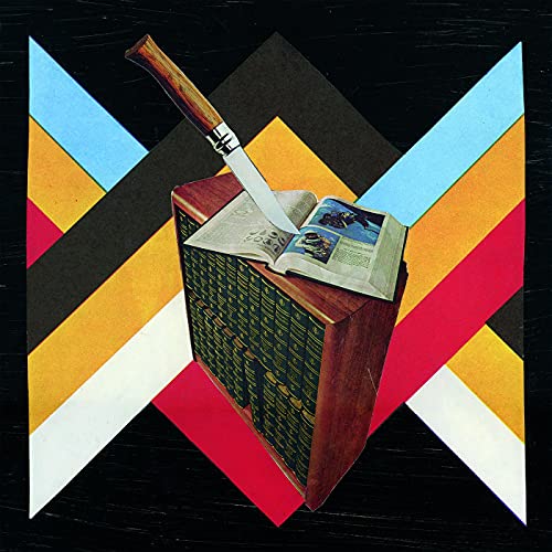 Existential Risks And Returns [Vinyl LP] von Salinas Records