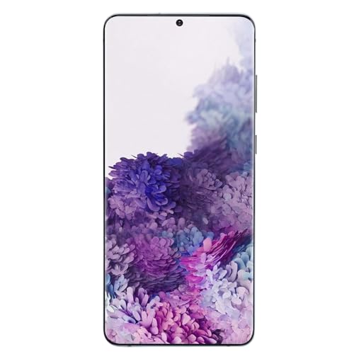 Saluaqui Premium -Telefonersatzbildschirm für Plus 5G, 6,7 Zoll LCD -Digitalisierer Montage mit Fingerabdruckfunktion, Schwarz (Blue) von Saluaqui