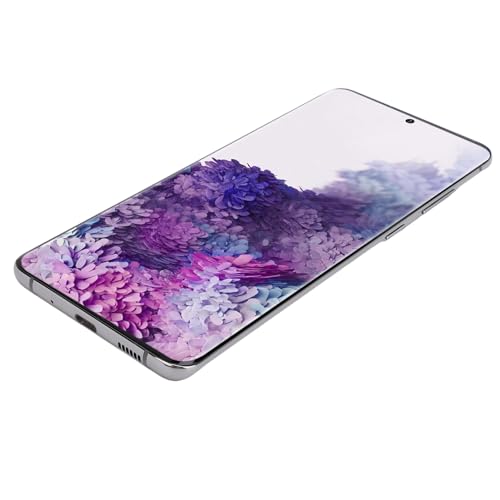 Saluaqui Premium -Telefonersatzbildschirm für Plus 5G, 6,7 Zoll LCD -Digitalisierer Montage mit Fingerabdruckfunktion, Schwarz (Grey) von Saluaqui