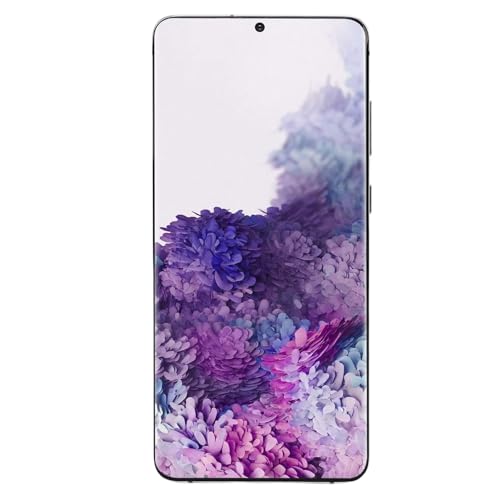 Saluaqui Premium -Telefonersatzbildschirm für Plus 5G, 6,7 Zoll LCD -Digitalisierer Montage mit Fingerabdruckfunktion, Schwarz (Silver) von Saluaqui