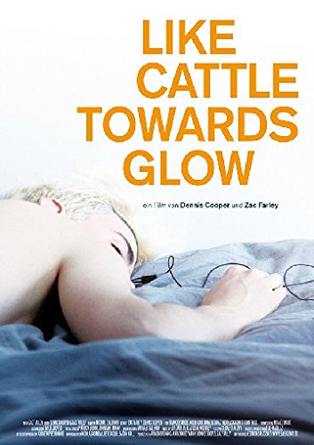 Like Cattle Towards Glow (OmU) von Salzgeber & Co. Medien GmbH