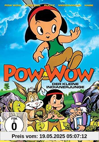 Pow Wow - Der kleine Indianerjunge [2 DVDs] von Sam Singer