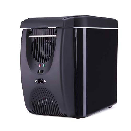 Samnuerly 6L tragbarer Mini-Autokühlschrank, heißer kalter kleiner Haushaltskühlschrank/elektrischer Kühler, wärmer, AC für Reisen, Zuhause von Samnuerly