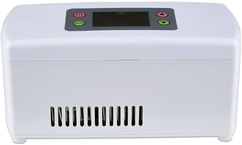 Samnuerly Cool Box Autokühlschrank, 5L Autokühlschrank, tragbarer Minikühlschrank, AC- und DC-Hotspot-System, Thermostat, Medikamentenaufbewahrung Samnuerly Cool Box Autokühlschrank, 5L Autokühlschrank, tragbarer Minikühlschrank, AC- und DC-Hotspot-System, Thermostat, Medikamentenaufbewahrung von Samnuerly