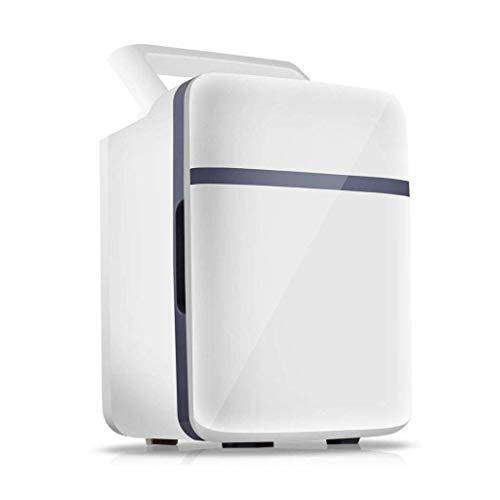 Samnuerly Mini-Kühlschrank mit 10 l Fassungsvermögen, kompakt, tragbar und leise, Wechselstrom- und Gleichstromversorgung von Samnuerly