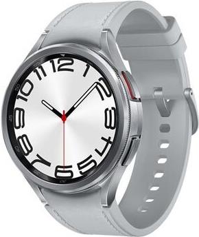 Samsung Watch 6 SM-R965 47mm LTE, silver - EU-Version (SM-R965FZSAEUE) von Samsung