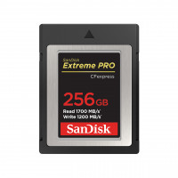 SanDisk Extreme Pro - Flash-Speicherkarte - 256 GB von SanDisk