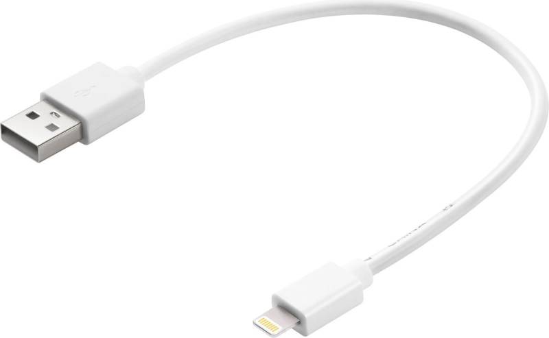 Sandberg - Lightning-Kabel - Lightning männlich zu USB männlich - 20 cm - für Apple iPad/iPhone/iPod (Lightning) von Sandberg