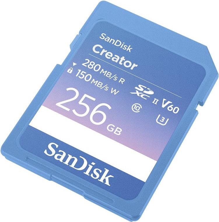 SanDisk Creator - Flash-Speicherkarte - 256 GB (SDSDXEP-256G-GNCIS) von Sandisk