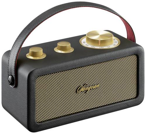 Sangean RA-101 Akku-Radio FM Bluetooth®, AUX wiederaufladbar Schwarz, Gold von Sangean
