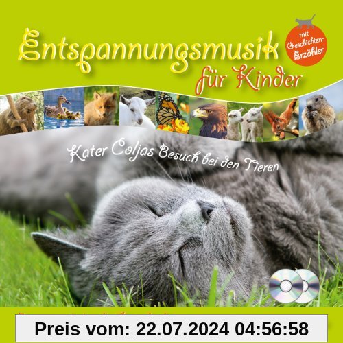 Kater Coljas Besuch bei den Tieren: Entspannungsmusik für Kinder mit Geschichtenerzähler (CD2 nur Musik) von Santec Music Orchestra