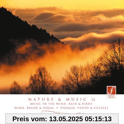 Natur und Musik II (Nature & Music II) - Entspannungsmusik mit Naturgeräuschen: Wind, Regen, Vögel, Gewitter ... von Santec Music Orchestra